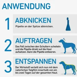 FRONTLINE® SPOT ON Hund L Lösung, 3 St