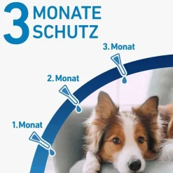 Best ® SPOT ON Hund S Lösung, 3 St Flöhe, Zecken & Co.