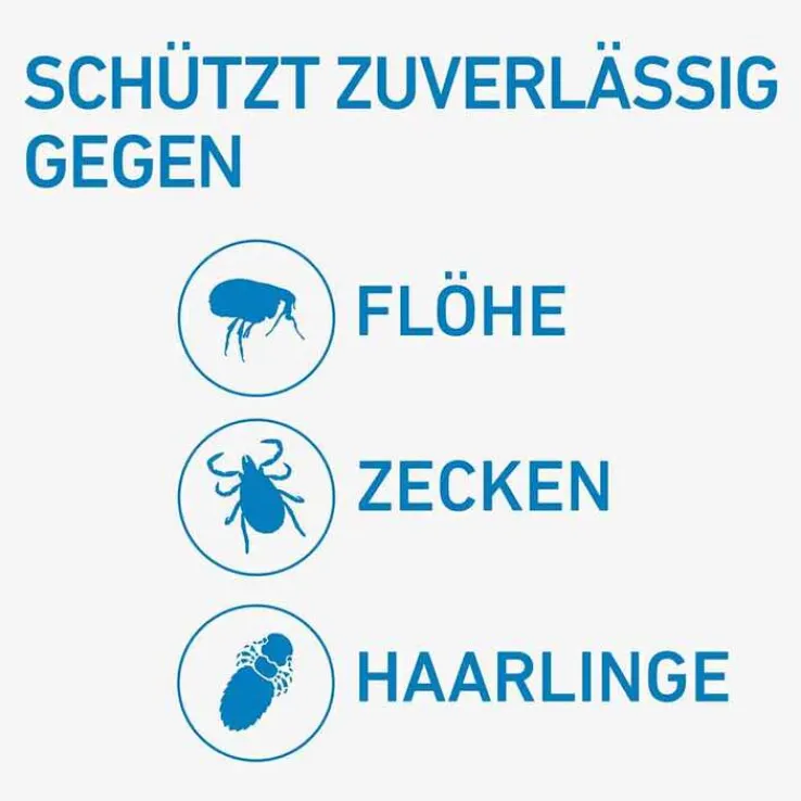 FRONTLINE® SPOT ON Katze , 6 St