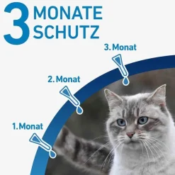 Hot ® SPOT ON Katze , 3 St Flöhe, Zecken & Co.