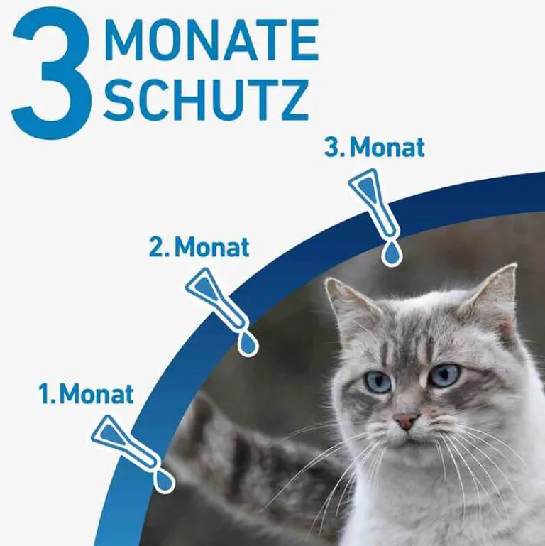 Hot ® SPOT ON Katze , 3 St Flöhe, Zecken & Co.