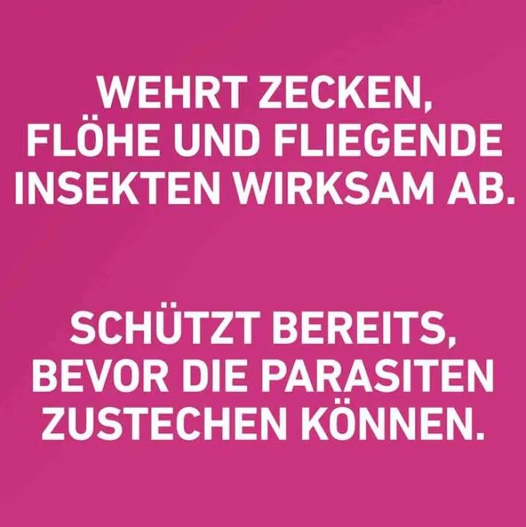 Clearance Frontline TRI-ACT® gegen Zecke, Floh und fliegende Insekten bei Hunden (10-20kg), 3 St