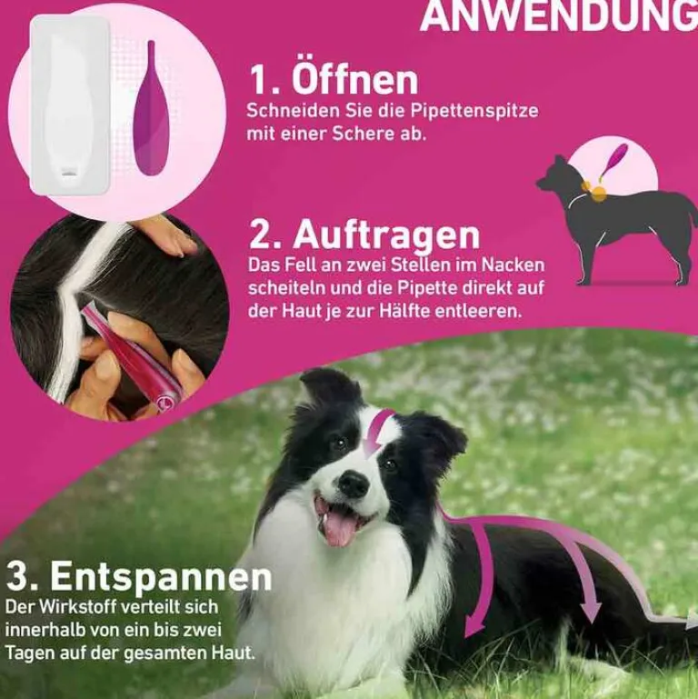 Clearance Frontline TRI-ACT® gegen Zecke, Floh und fliegende Insekten bei Hunden (10-20kg), 3 St