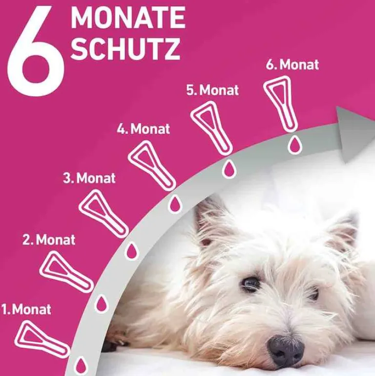 New Frontline TRI-ACT® gegen Zecke, Floh und fliegende Insekten bei Hunden (10-20kg), 6 St