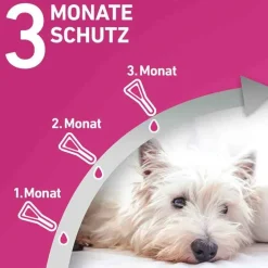 Hot TRI-ACT® gegen Zecke, Floh und fliegende Insekten bei Hunden (2-5kg), 3 St Flöhe, Zecken & Co.