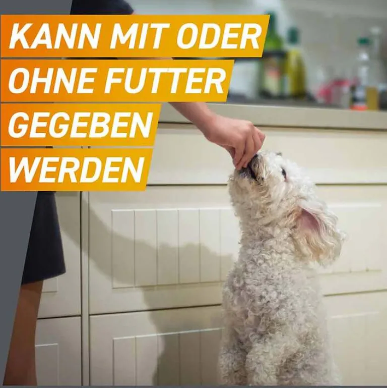 Hot Frontpro 68 mg Kautabletten für Hunde 10 - 25 kg, 3 St