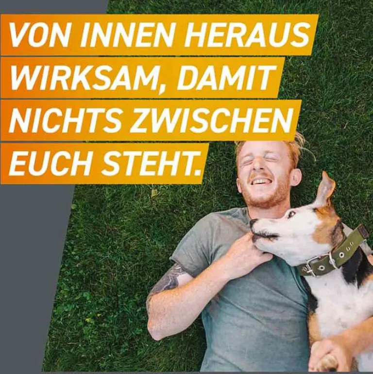 Online Frontpro 136 mg Kautabletten für Hunde 25 - 50 kg, 3 St