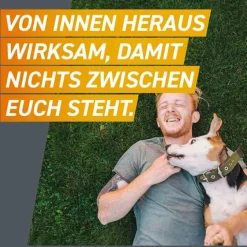 Hot Frontpro 28 mg Kautabletten für Hunde 4 - 10 kg, 3 St