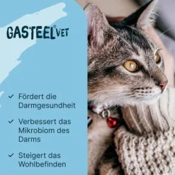 Hot Diät-Ergänzungsfuttermittel Kapseln für Hunde / Katzen, 50 St Magen & Darm|Magen & Darm