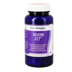 New Hecht Pharma Gelenk Fit GPH Kapseln, 90 St