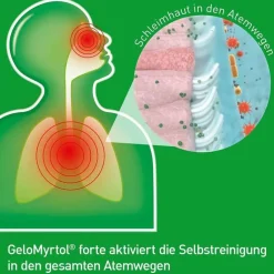 GeloMyrtol forte Kapseln, 20 St