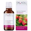 Discount Dr. Koll Gemmo Mazerat Himbeere Rubus idaeus Tropf., 50 ml