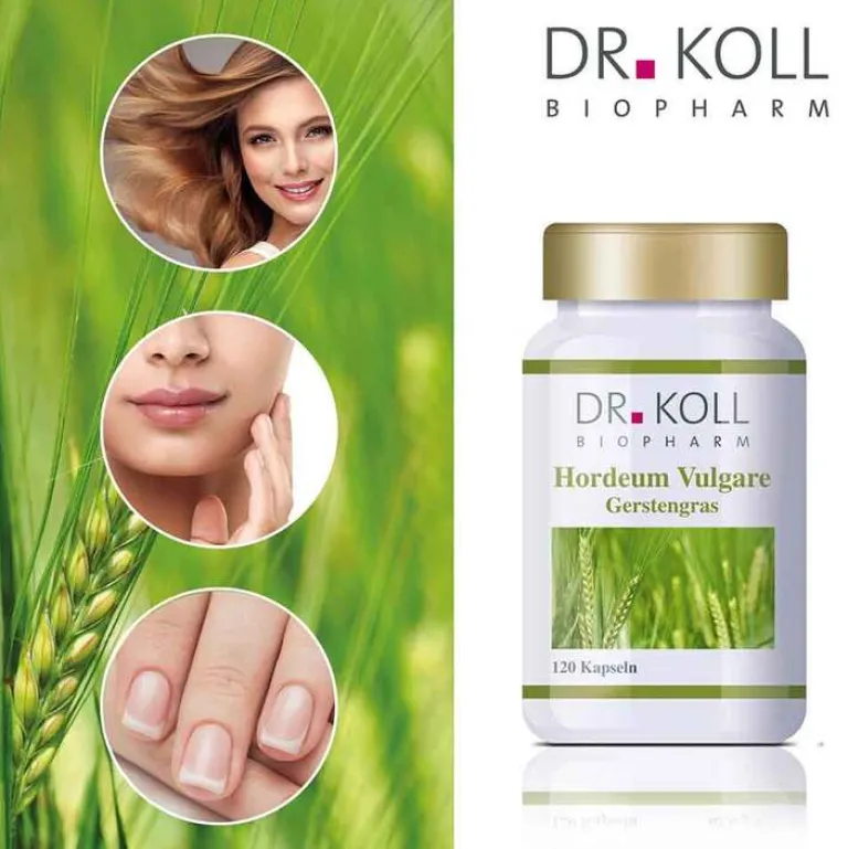 New Gerstengras Hordeum vulgare Kapseln, 120 St Gemmo Therapie|Gerstengras