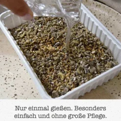 Gimpet Soft Gras für Katzen, 100 g