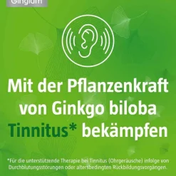 Online Gingium 40 mg Filmtabletten, 30 St