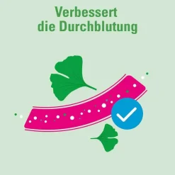 Online Ginkgo 120 mg Filmtabletten, 120 St Ginkgo|Durchblutungs Tabletten