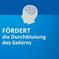 New Ginkgo ® 240 mg Filmtabletten, 30 St Ginkgo