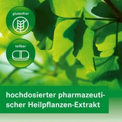 Outlet Heumann GINKGOVITAL 120 mg Filmtabletten, 120 St