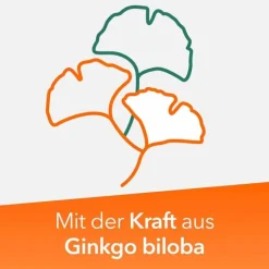 ratiopharm 120mg mit Ginkgo biloba, 120 St Ginkgo|Durchblutungs Tabletten