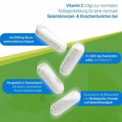 Online Avitale Glucosamin 500 mg + Chondroitin 400 mg Kapseln, 90 St