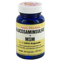 Glucosaminsulfat + MSM 1:1 Kapseln, 60 St