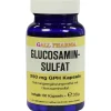 Sale Glucosaminsulfat Kapseln 250, 60 St Glucosamin-Chondroitin