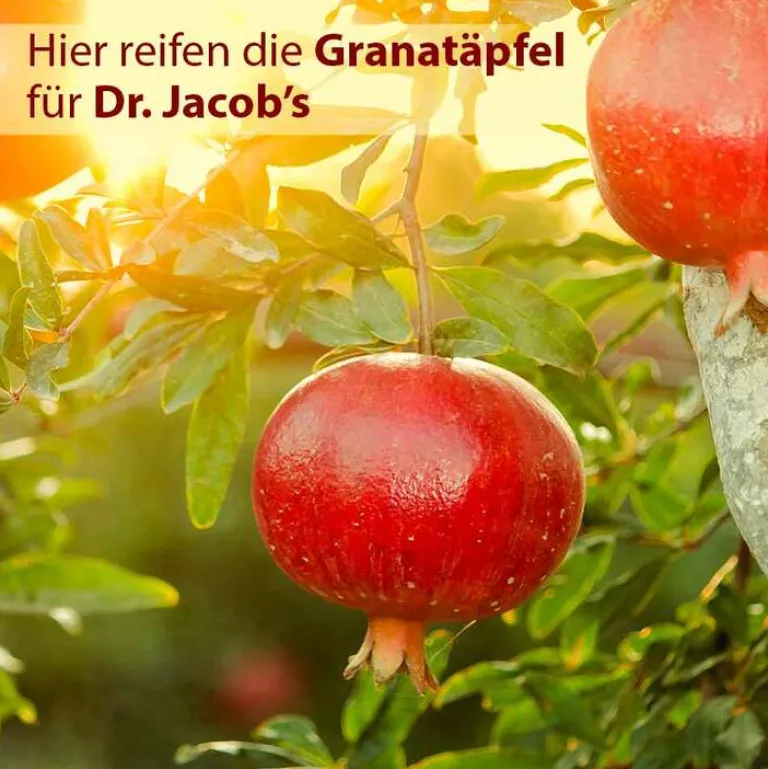 Best Granatapfel Elixier mediterran Dr. Jacob`s, 500 ml Durchblutung