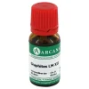 Clearance Arcana Graphites LM 12 Dilution, 10 ml