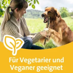 Grippostad C Stickpack bei Erkältung, 12 St