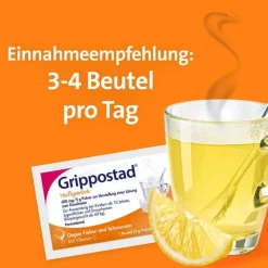 Online Heißgetränk bei Schmerzen und Fieber , 10 St Grippemittel