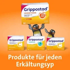 Online Heißgetränk bei Schmerzen und Fieber , 10 St Grippemittel