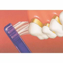 Best GuM Büschelbürste, 1 St