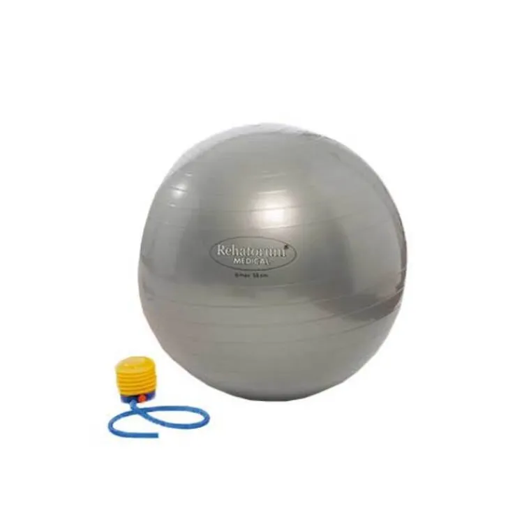 Gymnastikball Rehaforum 65 cm silber metallic, 1 St