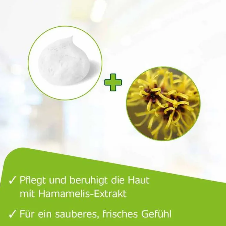 Hametum Reinigungsschaum, 100 ml