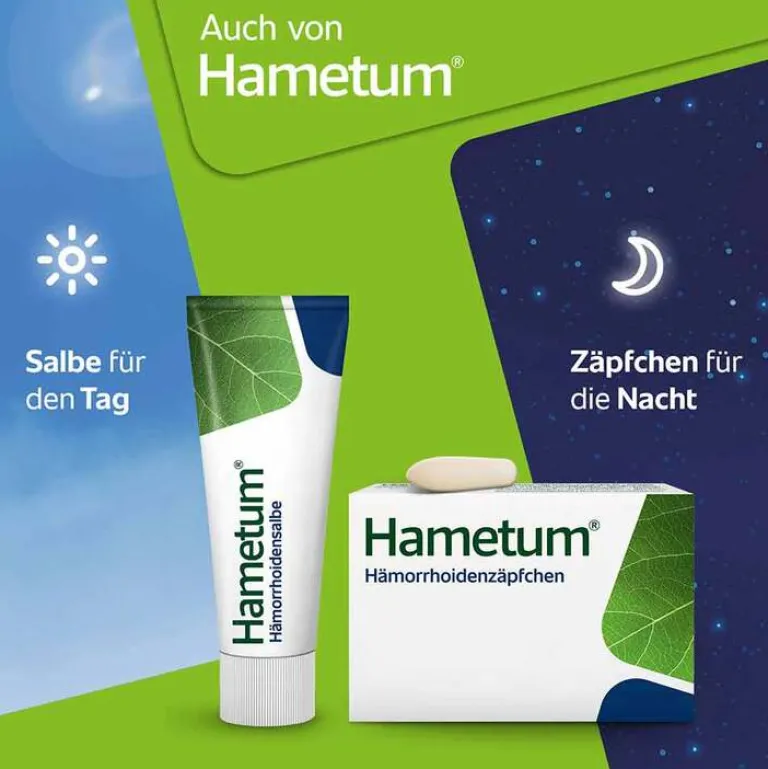 Hametum Reinigungsschaum, 100 ml
