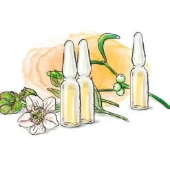 Hot A® 1 mg Ampullen, 8 St Mistelpräparate