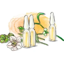 Clearance Helixor P® Serienpackung IV, 7 St