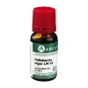 New Arcana Helleborus Niger LM 6 Dilution, 10 ml