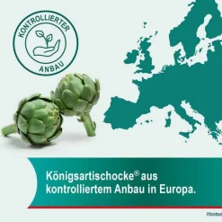 Hepar-SL® 640 mg Filmtabletten, 20 St