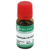 Hot Hypericum LM 18 Dilution, 10 ml H
