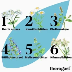 New Iberogast ADVANCE, 2x100 ml