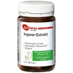 New Ingwer Extrakt Kapseln, 120 St Verdauung