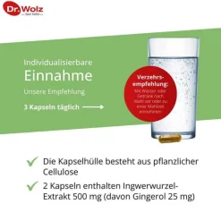 New Ingwer Extrakt Kapseln, 120 St Verdauung