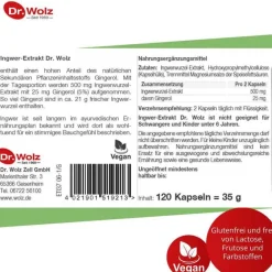 New Ingwer Extrakt Kapseln, 120 St Verdauung