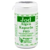 Hot Pharmadrog Jod Algen Kapseln, 60 St