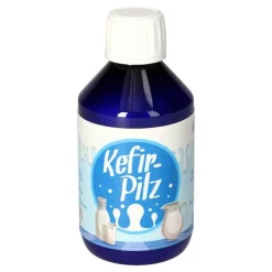 Kefir Pilz zur Bereitung aus Milch, 1 St