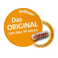 New , 20 St Hirnleistung & Nerven