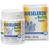 Outlet Kieselerde + Biotin Kps., 60 St Kieselerde|Kieselerde