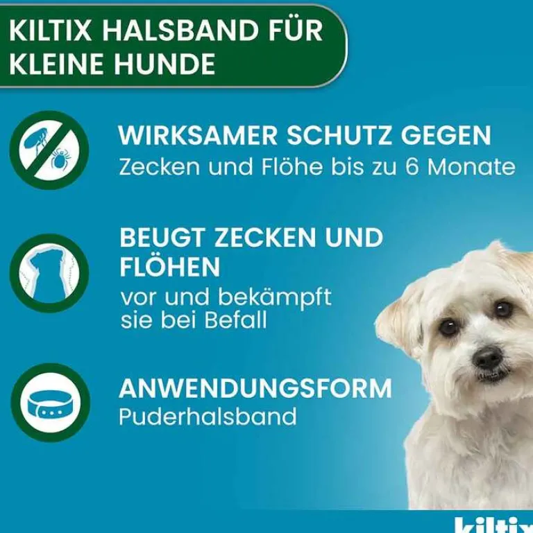 Outlet für kleine Hunde Halsband, 1 St Flöhe, Zecken & Co.