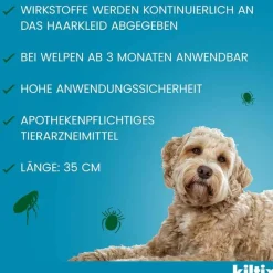 Outlet für kleine Hunde Halsband, 1 St Flöhe, Zecken & Co.